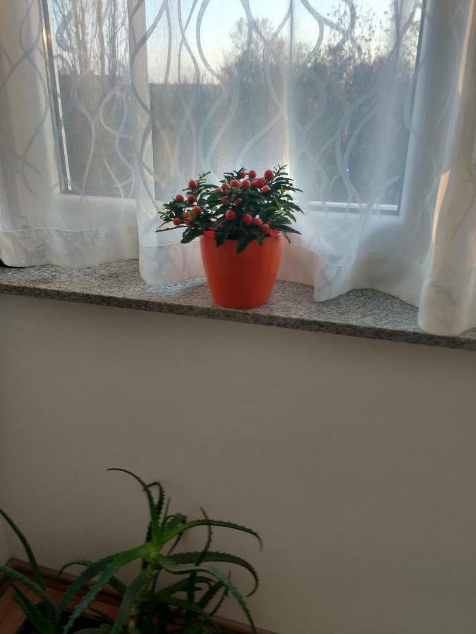 Meridian Apartment , 300M To Bus Terminal, Fast Wifi & Airport Transf Zagreb Eksteriør bilde